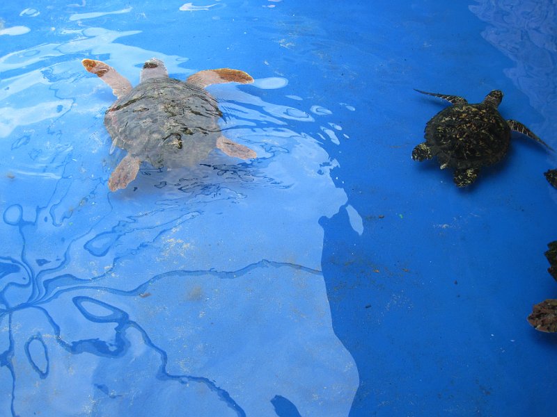 Curacao 04-12 218.JPG